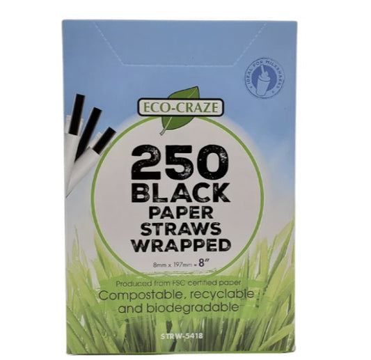 8" Jumbo Paper Straw Black- Eco Craze
