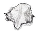 Hair Net 21" Black